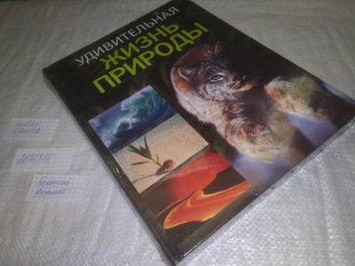 Лот: 25225858. Фото: 1. (2092316)Альбуи Винсент, Дане... Энциклопедии