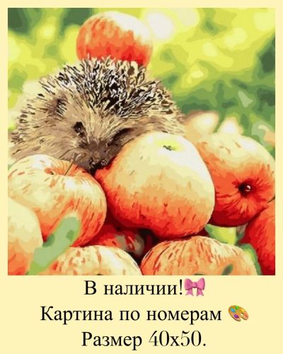 Лот: 14623506. Фото: 1. Картина по номерам. Ёжик. Картины по номерам