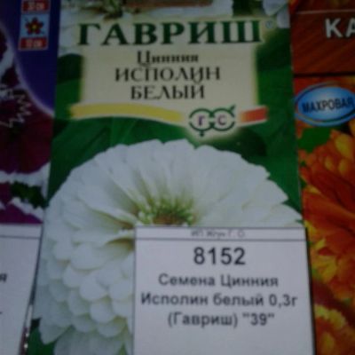 Лот: 9117913. Фото: 1. Семена / цветы / Цинния / Исполин... Садовые цветы