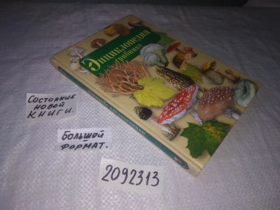 Лот: 21734631. Фото: 1. (2092313) Умельцев А.П. Энциклопедия... Энциклопедии