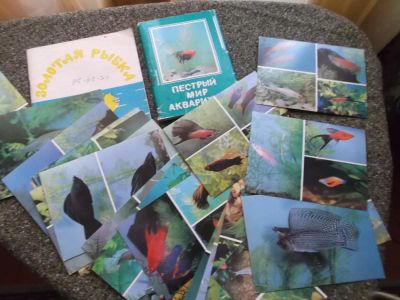 Лот: 5032501. Фото: 1. открытки аквариумные рыбки + книжка... Другое (аквариумистика)