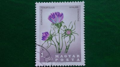 Лот: 15134565. Фото: 1. Почтовая марка _ №16361. Марки
