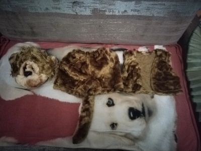 Лот: 21094071. Фото: 1. Новогодний костюм на ребенка Лев. Детские карнавальные, праздничные костюмы