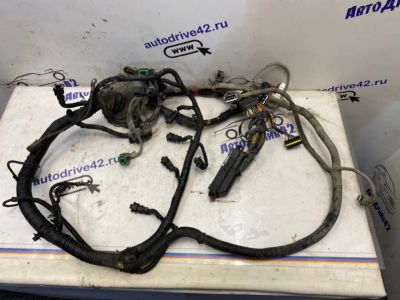 Лот: 21713436. Фото: 1. проводка двс Kia Sorento BL. Двигатель и элементы двигателя