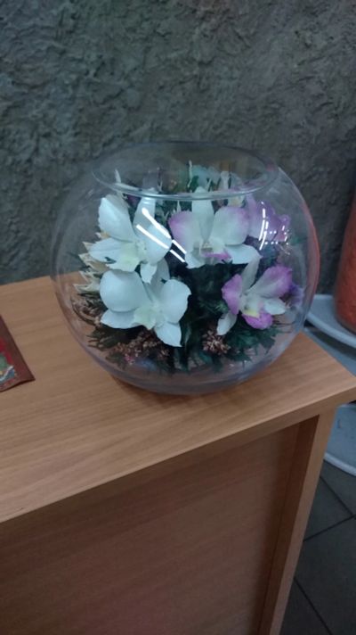 Лот: 11672082. Фото: 1. Живые цветы в вакууме в стекле... Свежие цветы