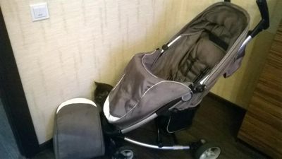 Лот: 7280847. Фото: 1. Коляска прогулочная Lider Kids. Коляски