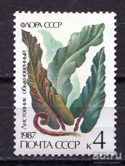 Лот: 15765802. Фото: 1. 1987 СССР Листовник обыкновенный... Марки