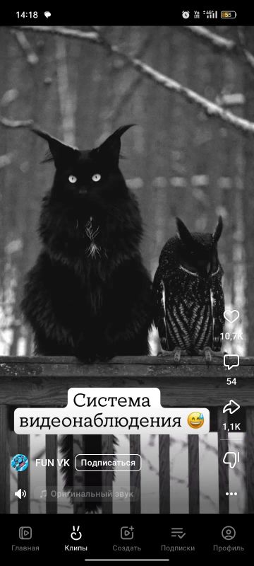 Лот: 22715936. Фото: 1. Камера наружного видеонаблюдения... Видеокамеры