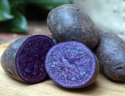 Лот: 17706217. Фото: 1. Картофель фиолетовый семенной... Овощи