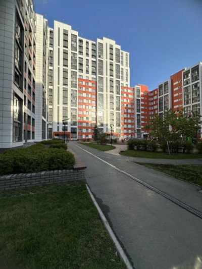 Лот: 25375654. Фото: 1. Новосибирск г. Октябрьский Кирова... Квартиры, студии