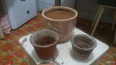 Лот: 9903762. Фото: 1. горшки с поддонами 10 лотом. Кашпо, горшки, вазоны для цветов