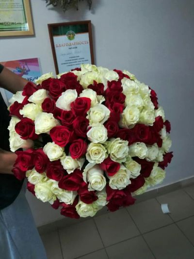 Лот: 10354571. Фото: 1. Акция ! ! ! 101 роза / Эквадор... Свежие цветы