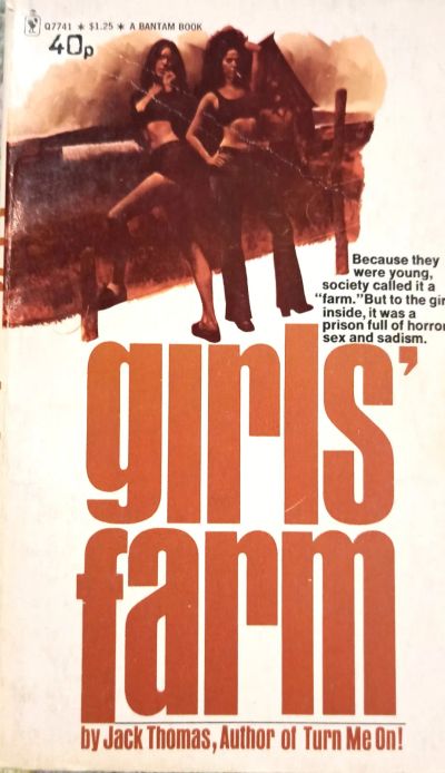 Лот: 19705425. Фото: 1. Jack Thomas - Girls' Farm / Джек... Художественная