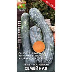Лот: 23639709. Фото: 1. Тыква мускатная Семейная. Овощи