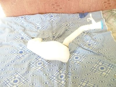 Лот: 13538285. Фото: 1. бачёк омывателя Хонда фрид спайк. Кузов