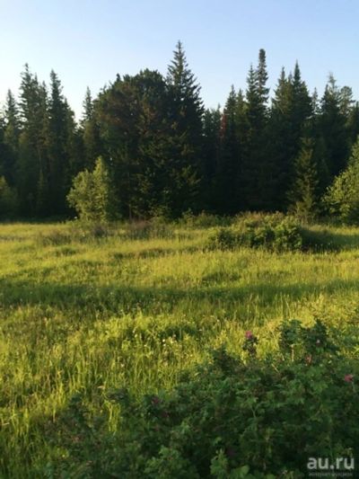 Лот: 4471017. Фото: 1. Участок Снежница, СНТ. Земельные участки