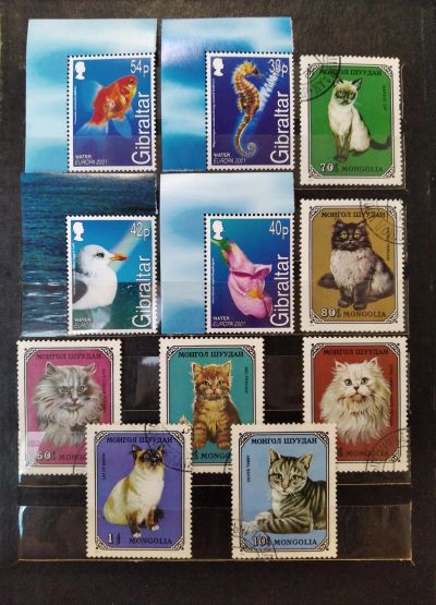 Лот: 19878598. Фото: 1. Альбом с марками 16 страниц (16х21... Марки
