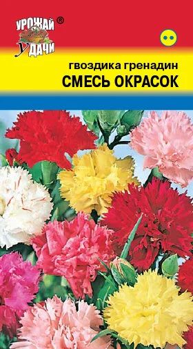 Лот: 12843858. Фото: 1. Семена гвоздики садовой "Гренадин... Садовые цветы