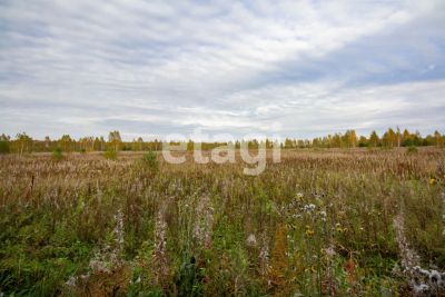 Лот: 25288489. Фото: 1. участок , деревня Объединение... Земельные участки