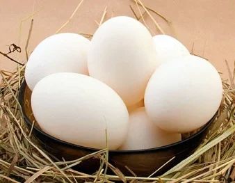 Лот: 4840735. Фото: 1. Яйцо деревенское. Мясо, птица, яйцо