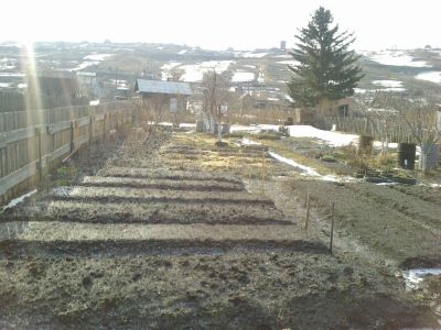 Лот: 13699951. Фото: 1. Продам дачный участок верхние... Земельные участки