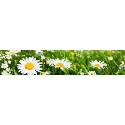 Лот: 10668916. Фото: 1. Панель на кухню ( фартук для кухни... Обои, панели, ДВП, ДСП, МДФ