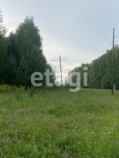 Лот: 25293581. Фото: 1. участок , село Совхоз Сибиряк... Земельные участки