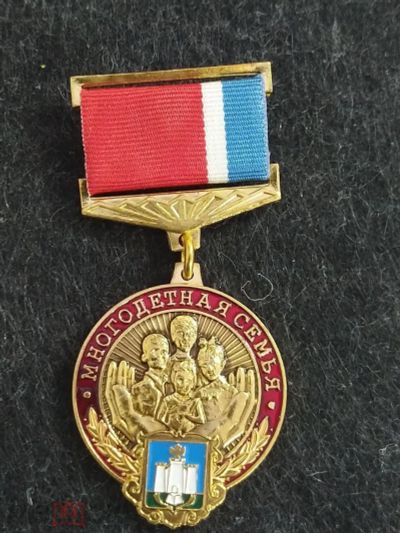 Лот: 16138165. Фото: 1. Медаль-знак многодетная семья... Другое (значки, медали, жетоны)