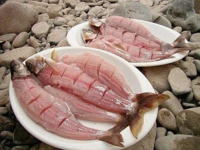 Лот: 24289902. Фото: 1. Хариус малосольный с севера. Икра, рыба, морепродукты