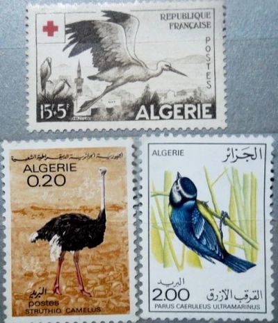 Лот: 11361631. Фото: 1. Марки -Фауна. Алжир. Птицы. (Белый... Марки