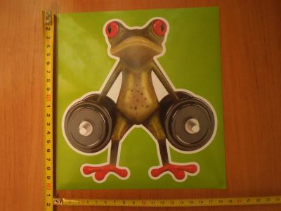 Лот: 3714461. Фото: 1. Наклейка Лягушка3. Наклейки автомобильные