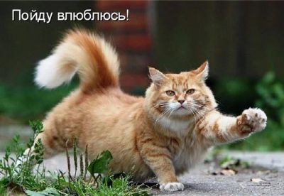 Лот: 8830207. Фото: 1. нужен авто в аренду на 2 дня в... Автомобили