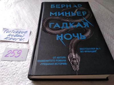 Лот: 17763928. Фото: 1. Бернар Миньер. Гадкая ночь, Роман... Художественная