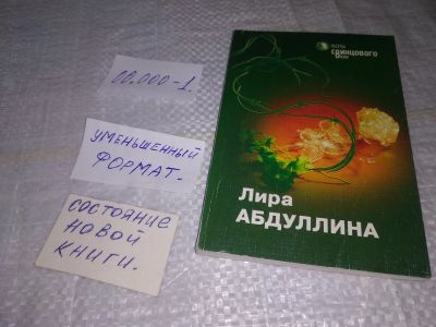 Лот: 19422670. Фото: 1. Поэты свинцового века, Лира Абдуллина... Художественная