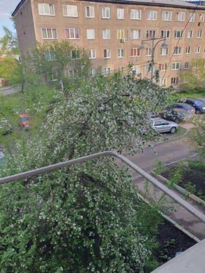 Лот: 23019296. Фото: 1. Сдам гостинку 18кв королева. Квартиры, студии