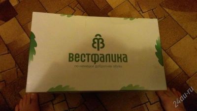 Лот: 2344543. Фото: 1. Сапоги зимние женские Вестфалика. Сапоги