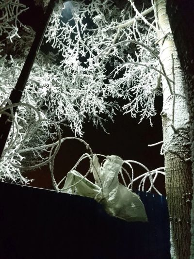 Лот: 11010537. Фото: 1. Комплект шкафов и стол из дуба. Шкафы, шкафы-купе