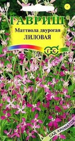 Лот: 11025399. Фото: 1. Маттиола двурогая Лиловая 0,5... Садовые цветы