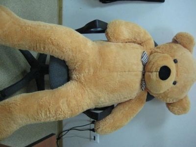 Лот: 3085898. Фото: 1. Мягкая игрушка Медведь 1,6 м Teddy... Мягкие