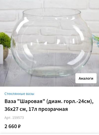 Лот: 24673087. Фото: 1. Флорариум. Другое (животные и уход)