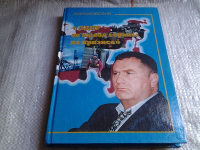 Лот: 5701088. Фото: 1. оз..вб.."ЛДПР-за вывод страны... Экономика
