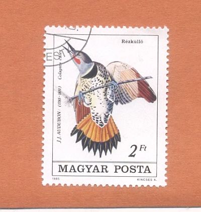 Лот: 10981077. Фото: 1. Марка "Птицы". Венгрия. 1985г. Марки