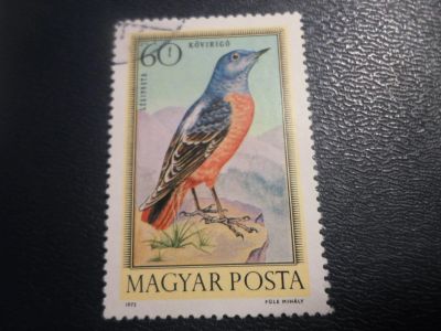 Лот: 17196742. Фото: 1. Марка для Вашей коллекции. №25305. Марки