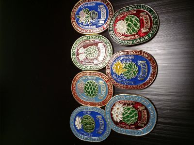 Лот: 13226393. Фото: 1. Редкий набор значков "Всесоюзное... Сувенирные
