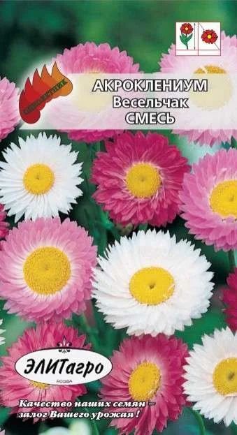 Лот: 11024144. Фото: 1. Акроклениум Весельчак смесь 0... Садовые цветы