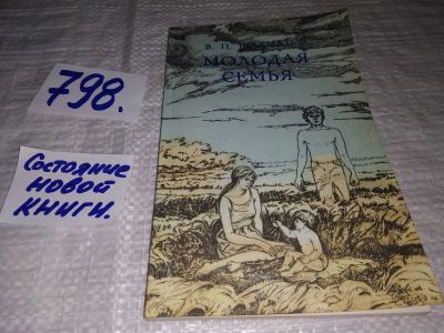 Лот: 12876353. Фото: 1. Молодая семья: жизнеспособность... Книги для родителей