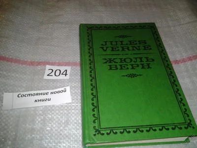 Лот: 6871217. Фото: 1. Жан Жюль-Верн, Жюль Верн, Книга... Мемуары, биографии