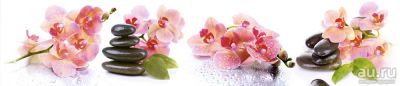 Лот: 13832380. Фото: 1. SP 108 Стеновые дизайн панели... Фартуки для кухни