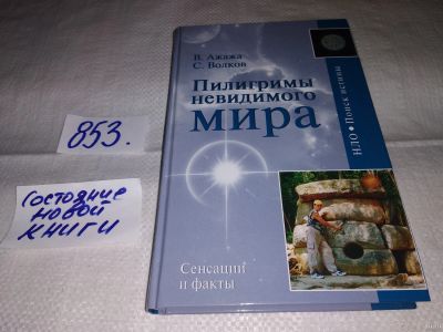 Лот: 12835964. Фото: 1. Пилигримы невидимого мира. Серия... Религия, оккультизм, эзотерика