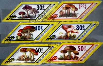 Лот: 12954869. Фото: 1. Марки Флора. Монголия. Грибы.1978... Марки
